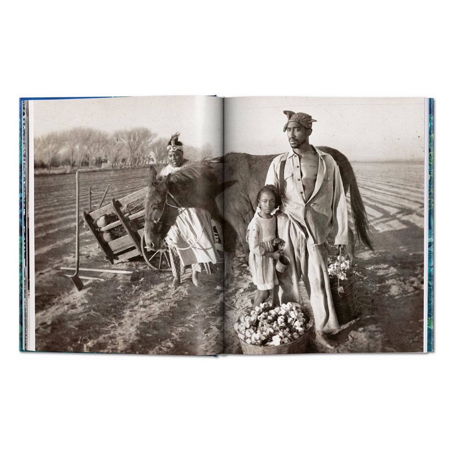 David LaChapelle. Good News (English) Book