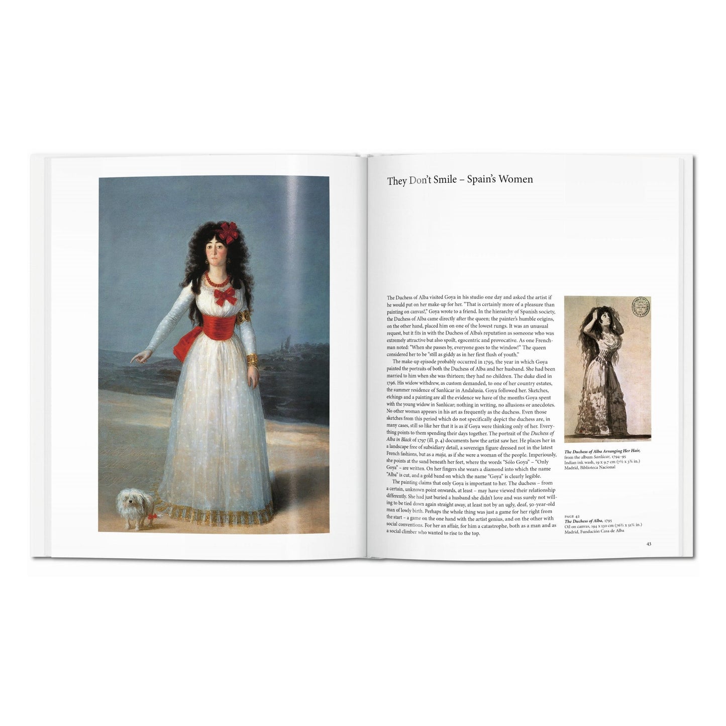 Goya (English) Book