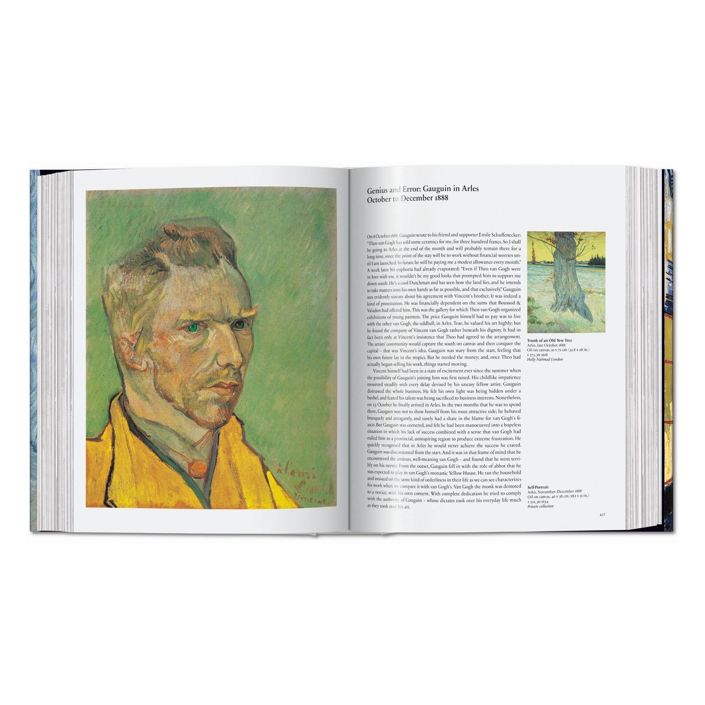 Van Gogh. The Complete Paintings (English) Book