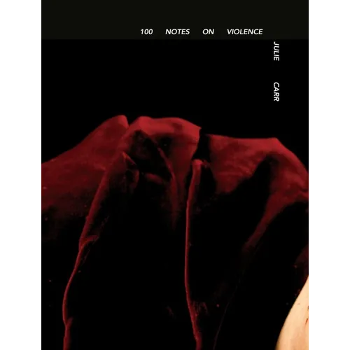 100 Notes on Violence