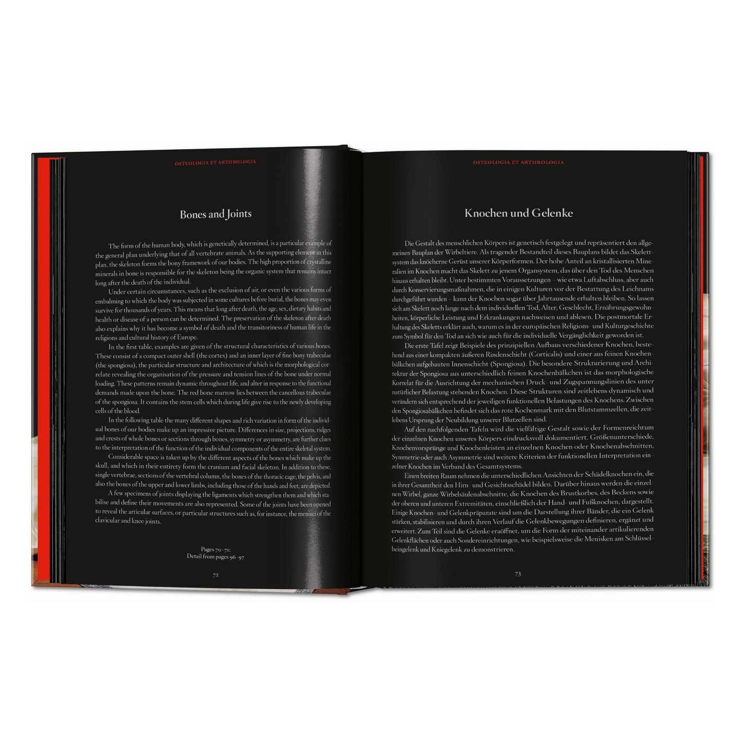 Anatomical Waxes. 45th Ed. (German, French, English) Book