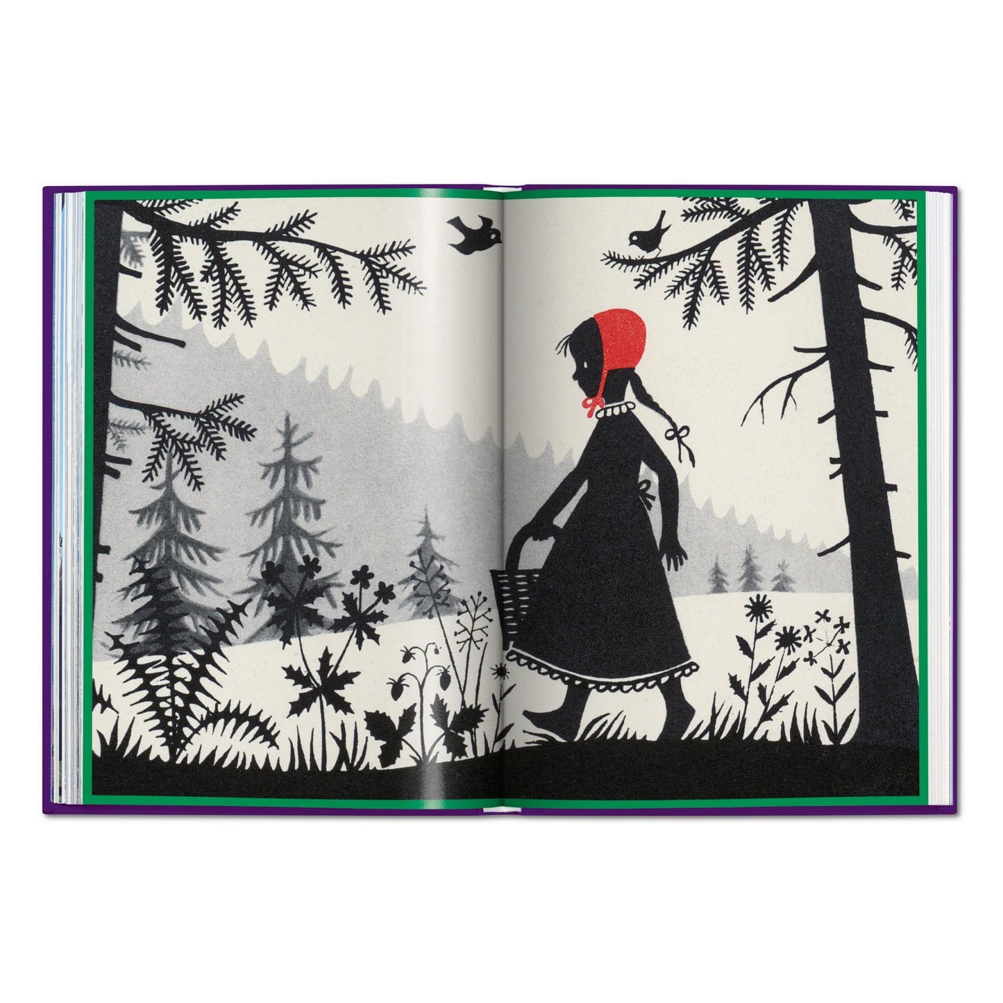 The Fairy Tales of the Brothers Grimm (English) Book