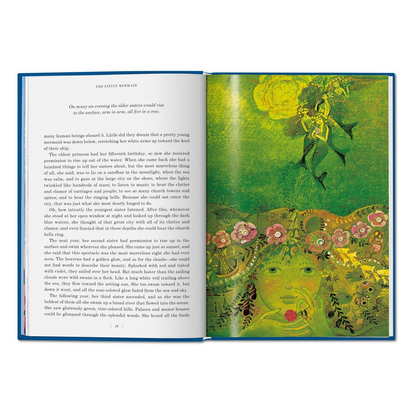 The Fairy Tales of Hans Christian Andersen (English) Book