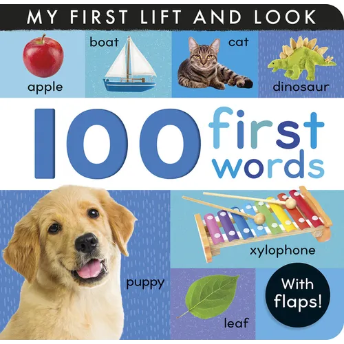 100 First Words: My First Lift and Look (with Flaps)