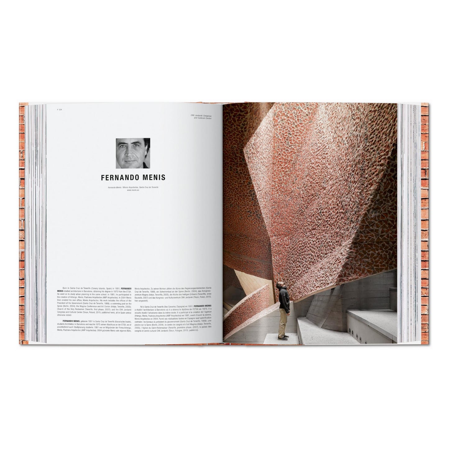 Contemporary Brick Buildings (German, French, English) Book