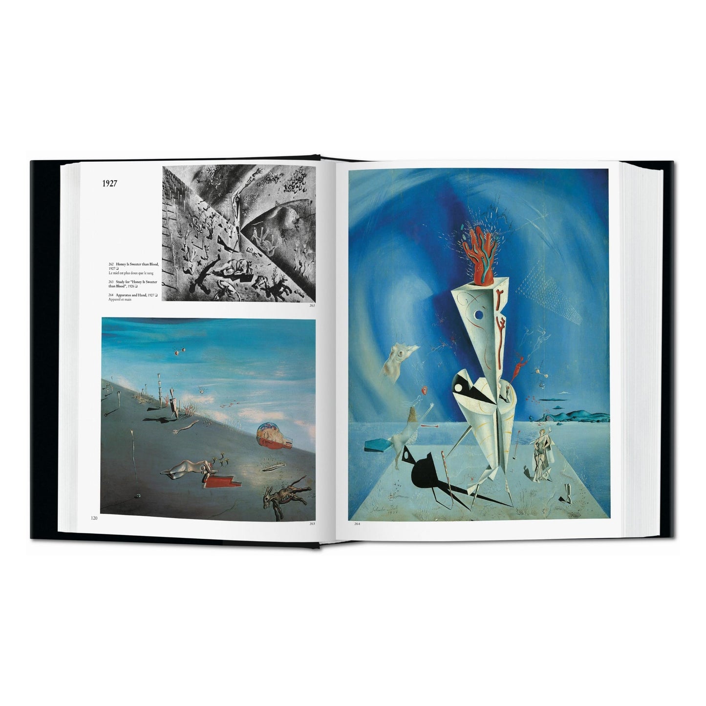 Dalí. The Paintings (English) Book