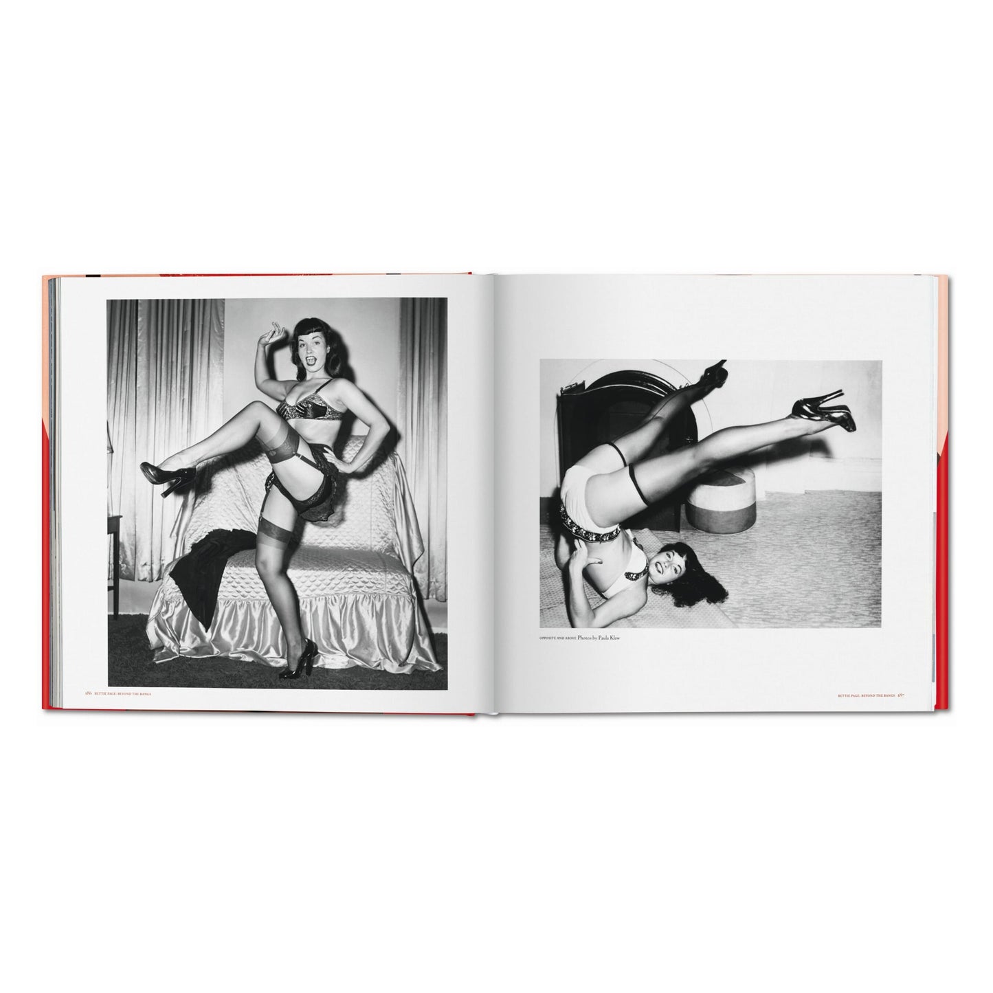 The Big Book of Legs (German, French, English) Book