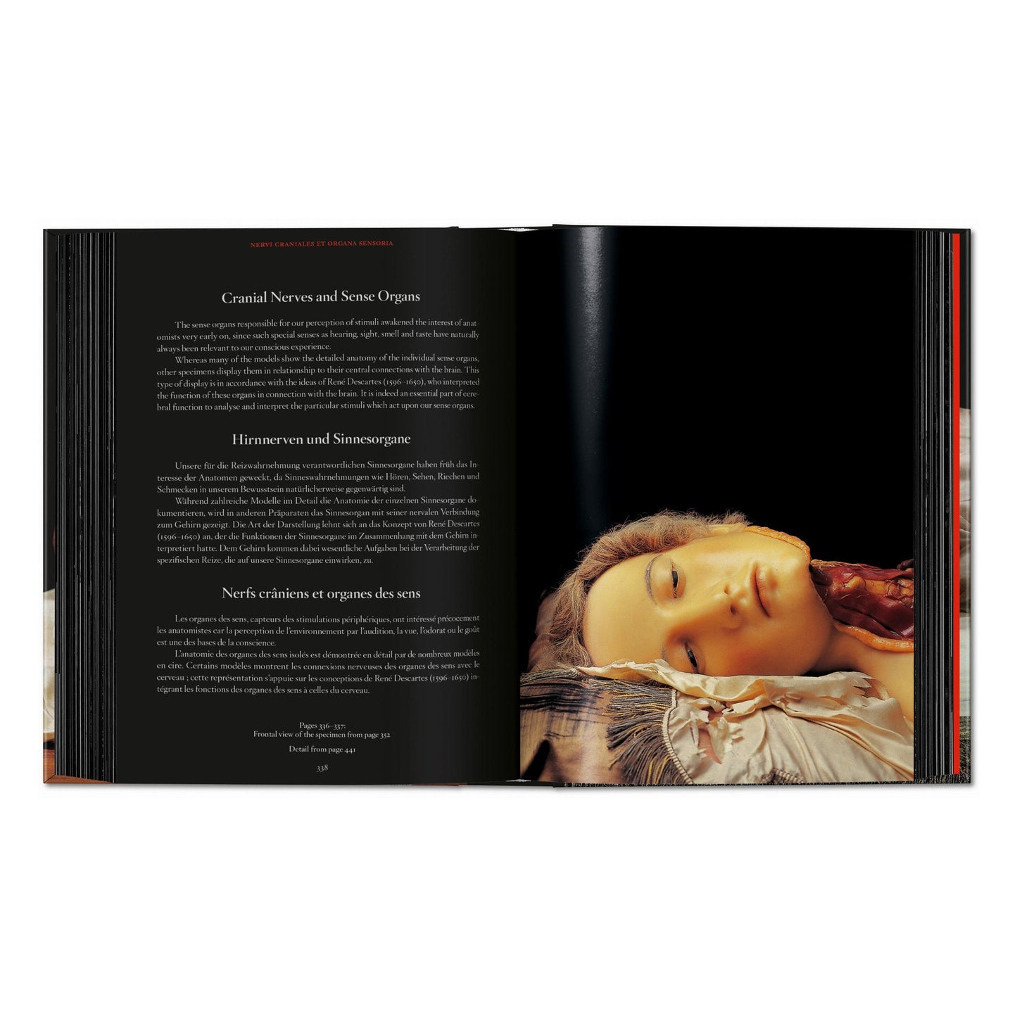 Anatomical Waxes. 45th Ed. (German, French, English) Book