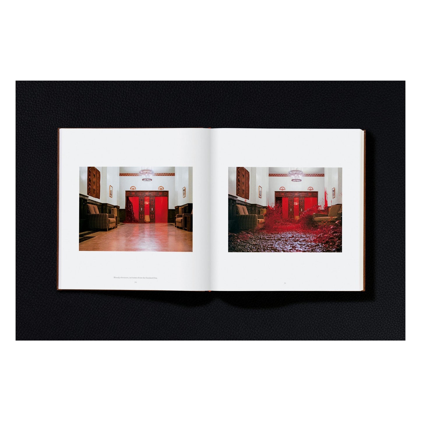 Stanley Kubrick's The Shining (English) Book