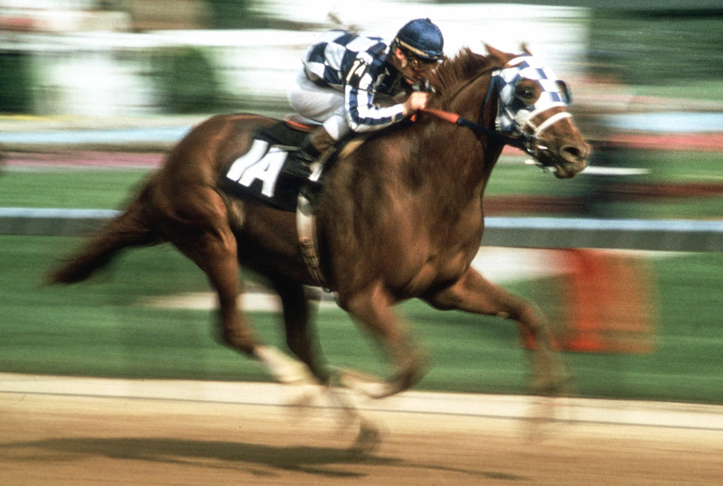 150 Years of the Kentucky Derby Book