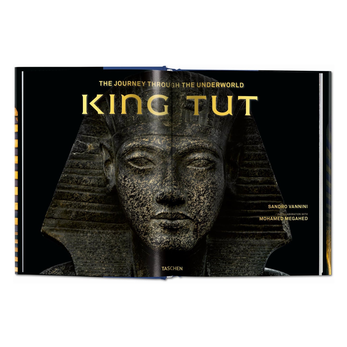 King Tut. The Journey through the Underworld (English) Book