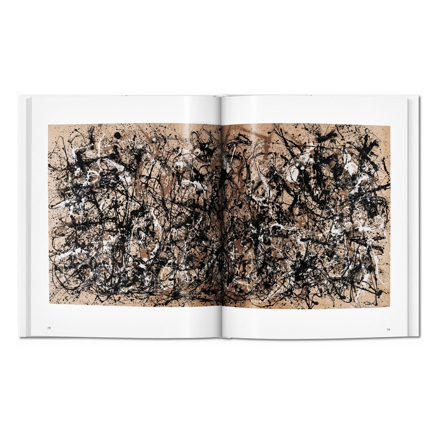 Pollock (English) Book