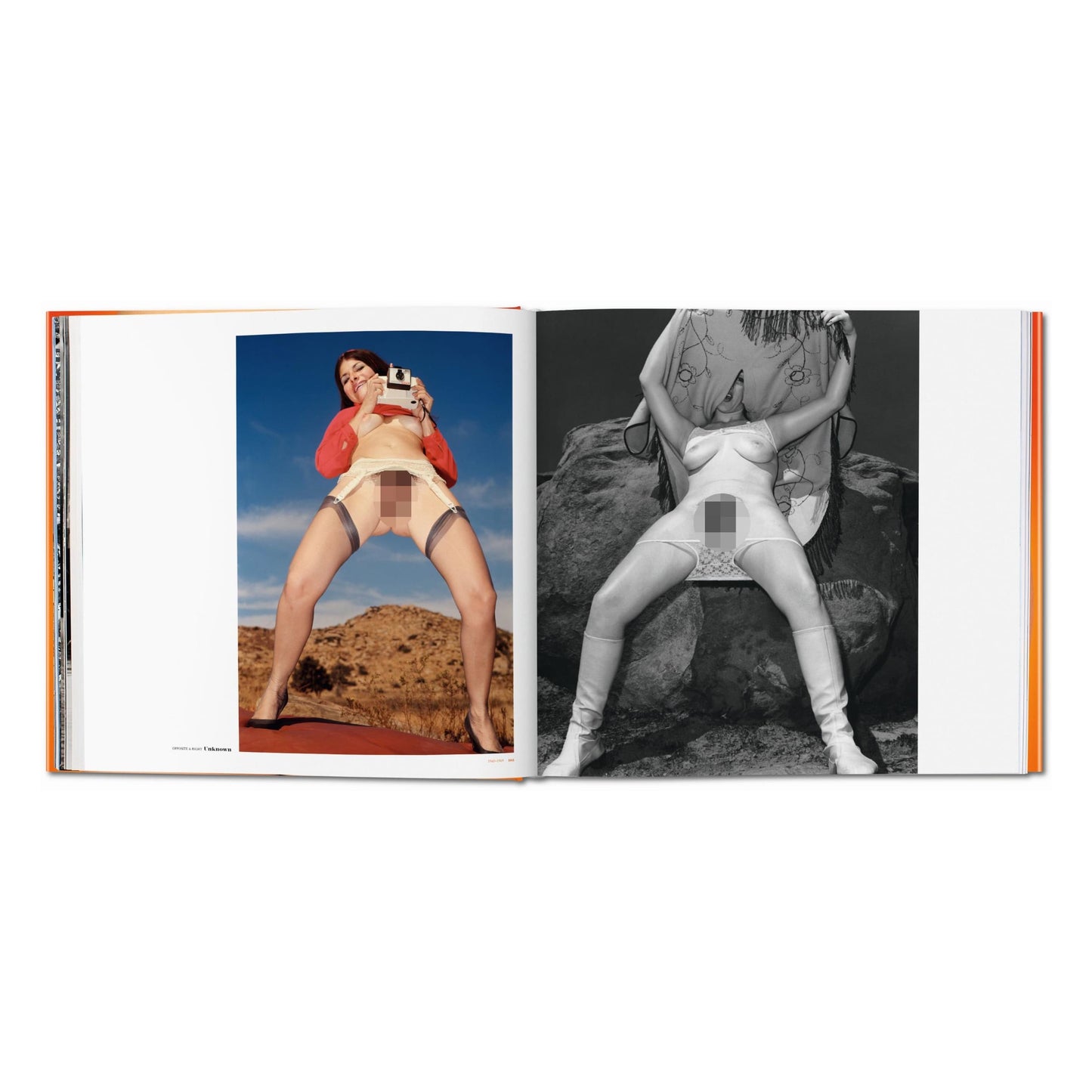 The Big Book of Pussy (German, French, English) Book