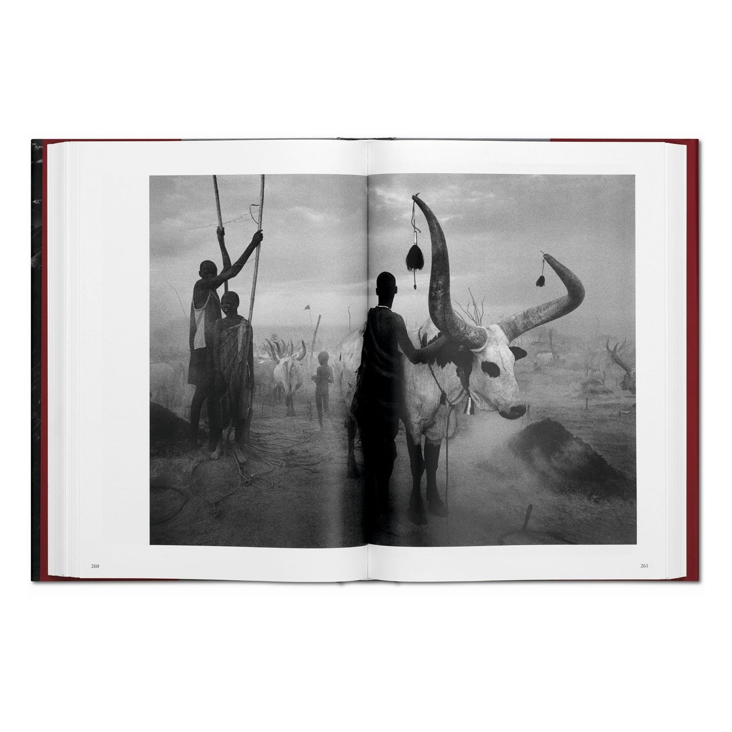 Sebastião Salgado. Genesis (English) Book