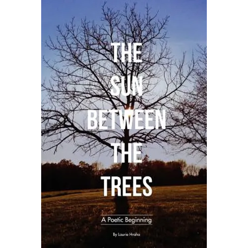 The Sun Between the Trees