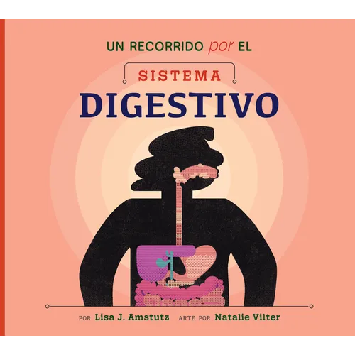 Un Recorrido Por El Sistema Digestivo