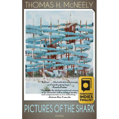 Pictures of the Shark: Stories