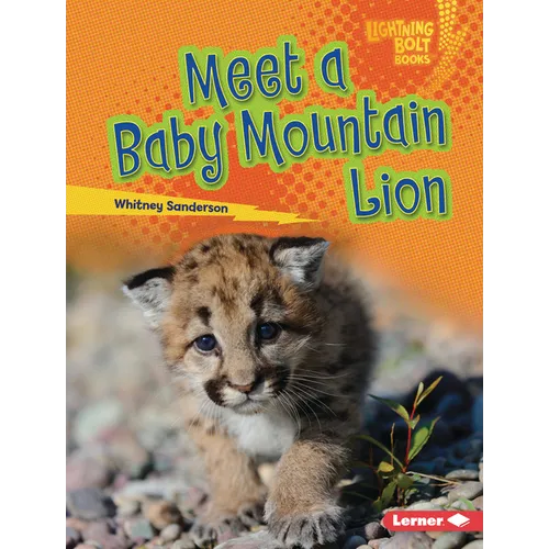Meet a Baby Mountain Lion