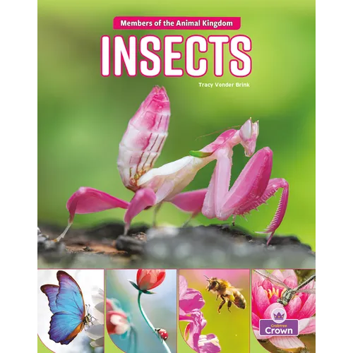 Insects