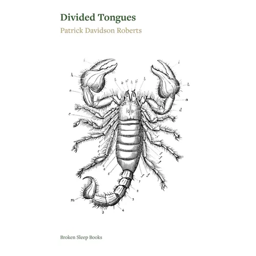 Divided Tongues