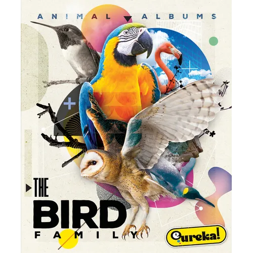 The Bird Family