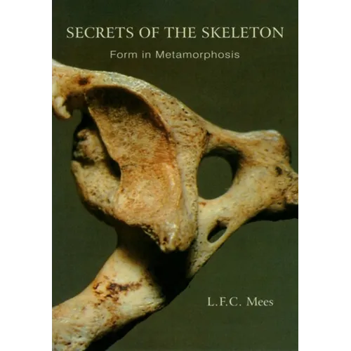 Secrets of the Skeleton: Form in Metamorphosis