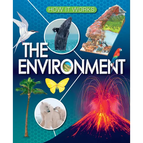 The Environment
