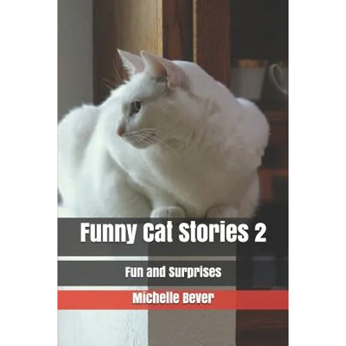 Funny Cat Stories 2: Fun and Surprises