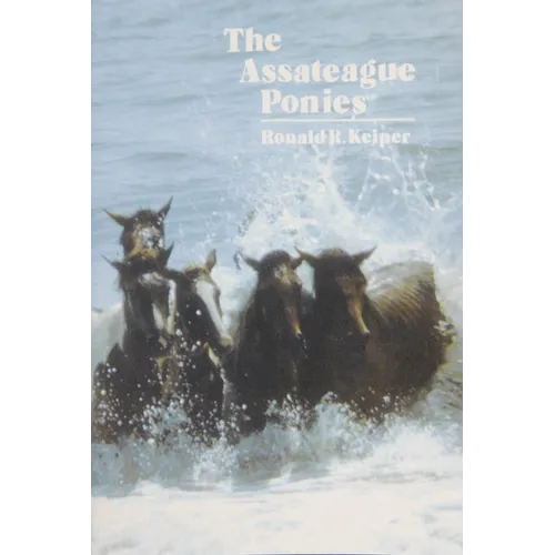 The Assateague Ponies