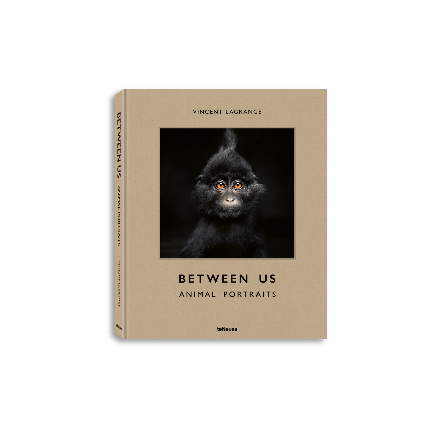 Between Us Book