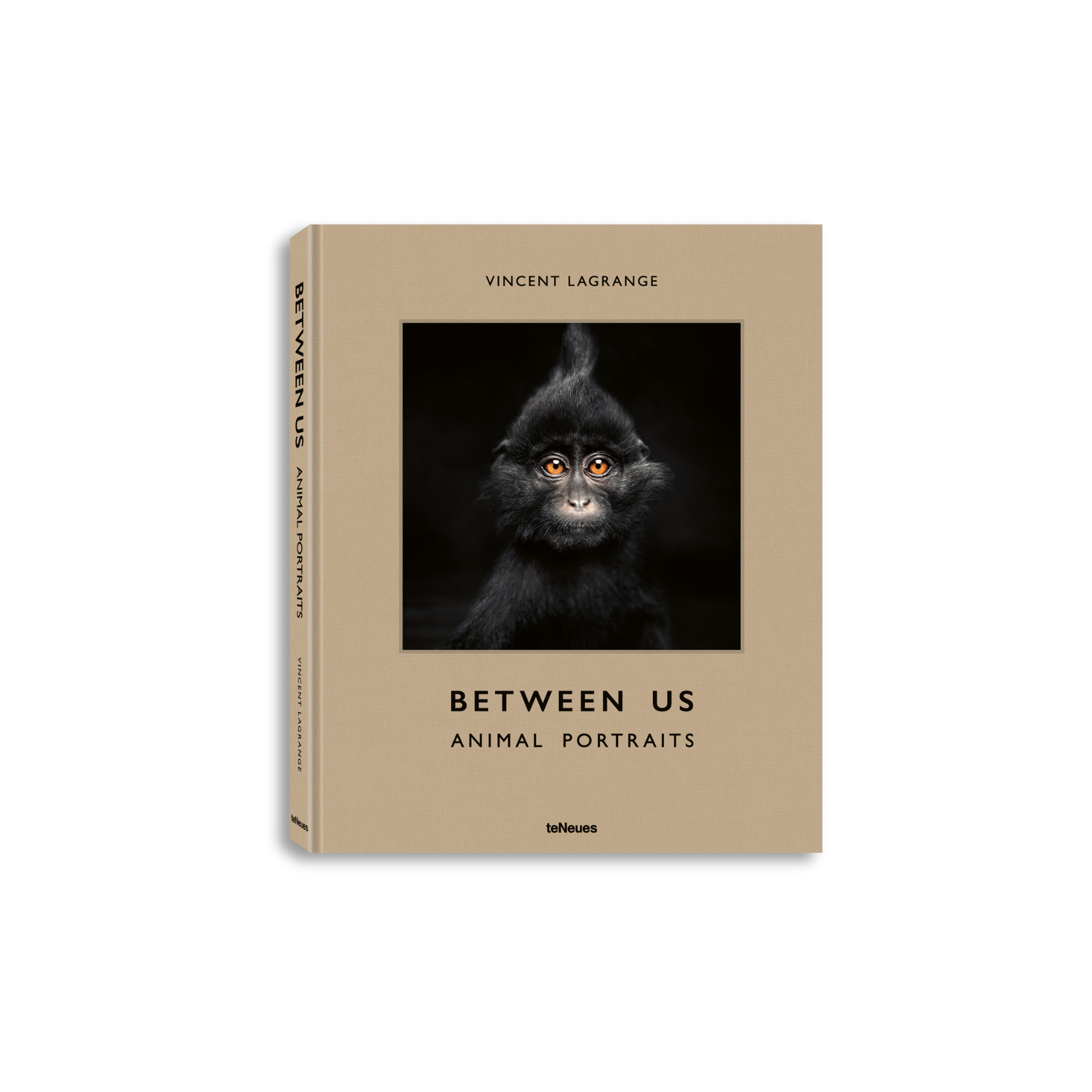 Between Us Book
