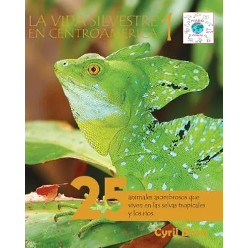La vida silvestre en Centroamerica 1: 25 animales asombrosos que viven en las selvas tropicales y los rios