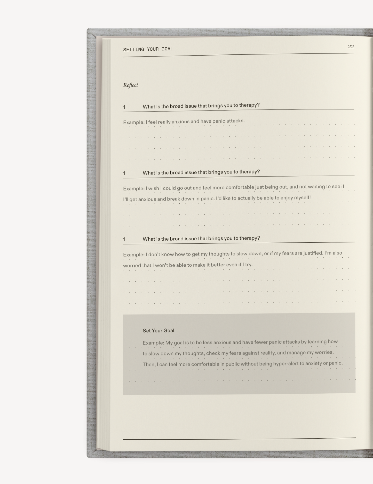 The Therapy Companion Set Therapy Notebooks