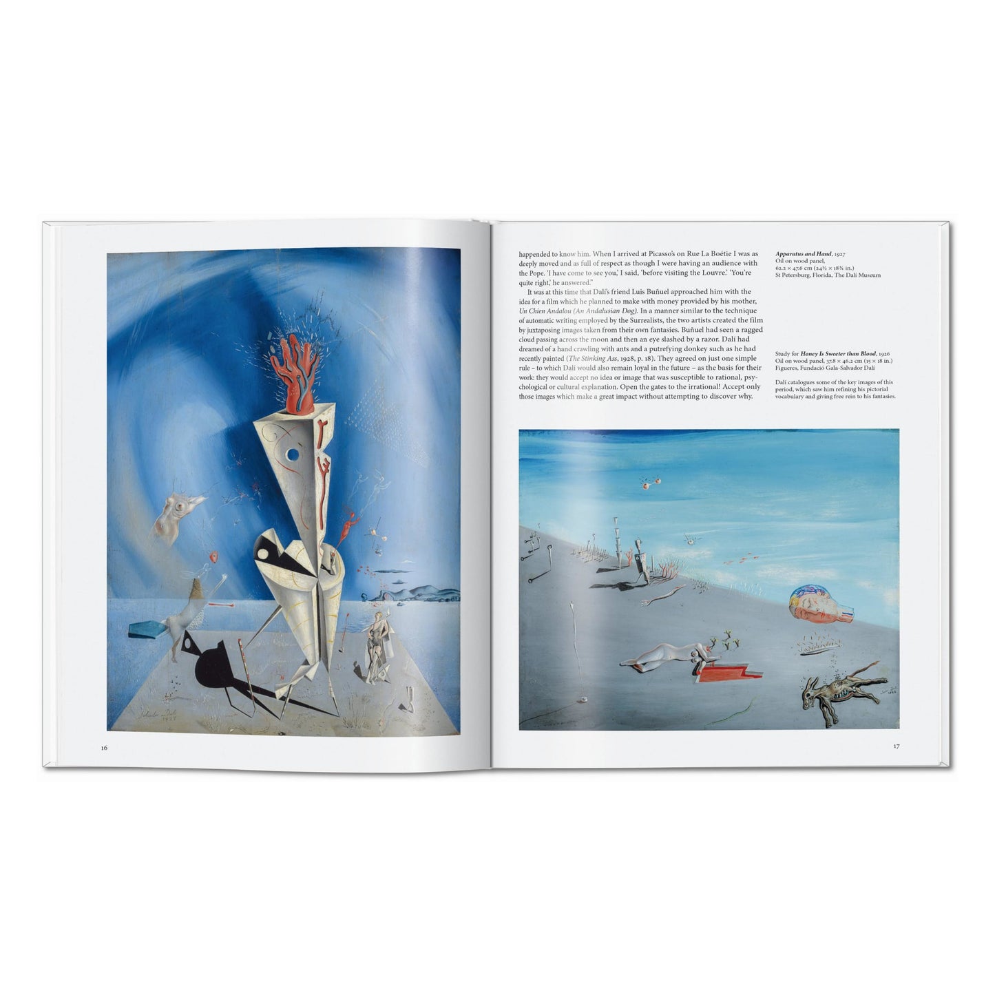 Dalí (English) Book