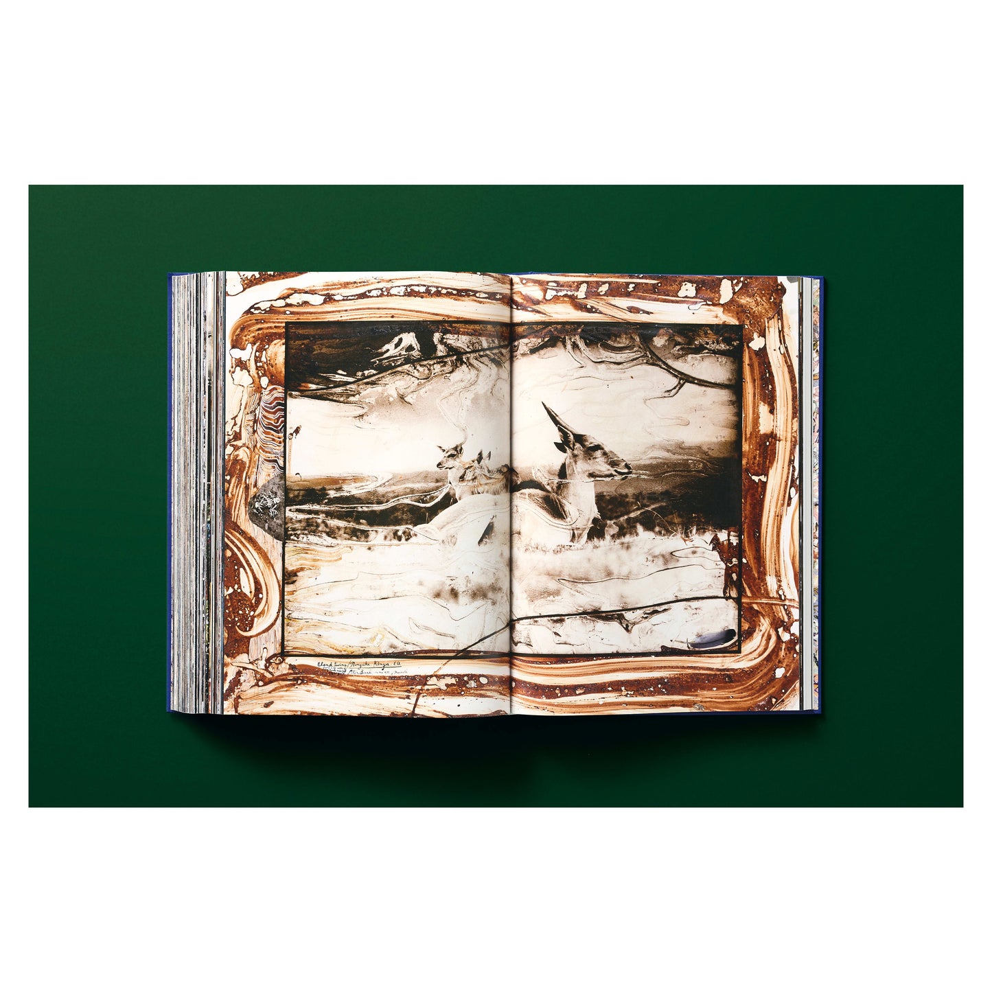 Peter Beard (German, French, English) Book