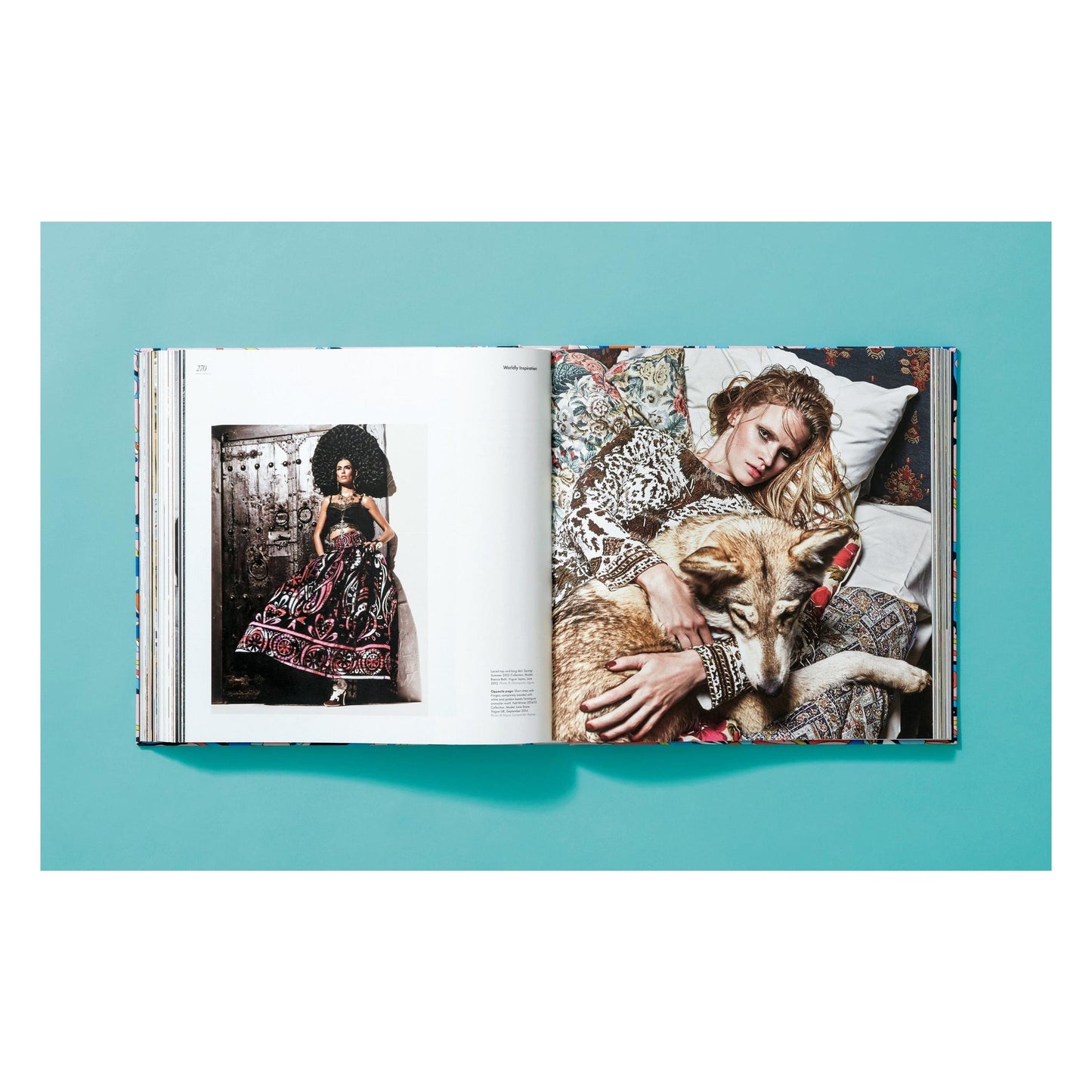 Pucci. Updated Edition (German, French, English, Italian) Book