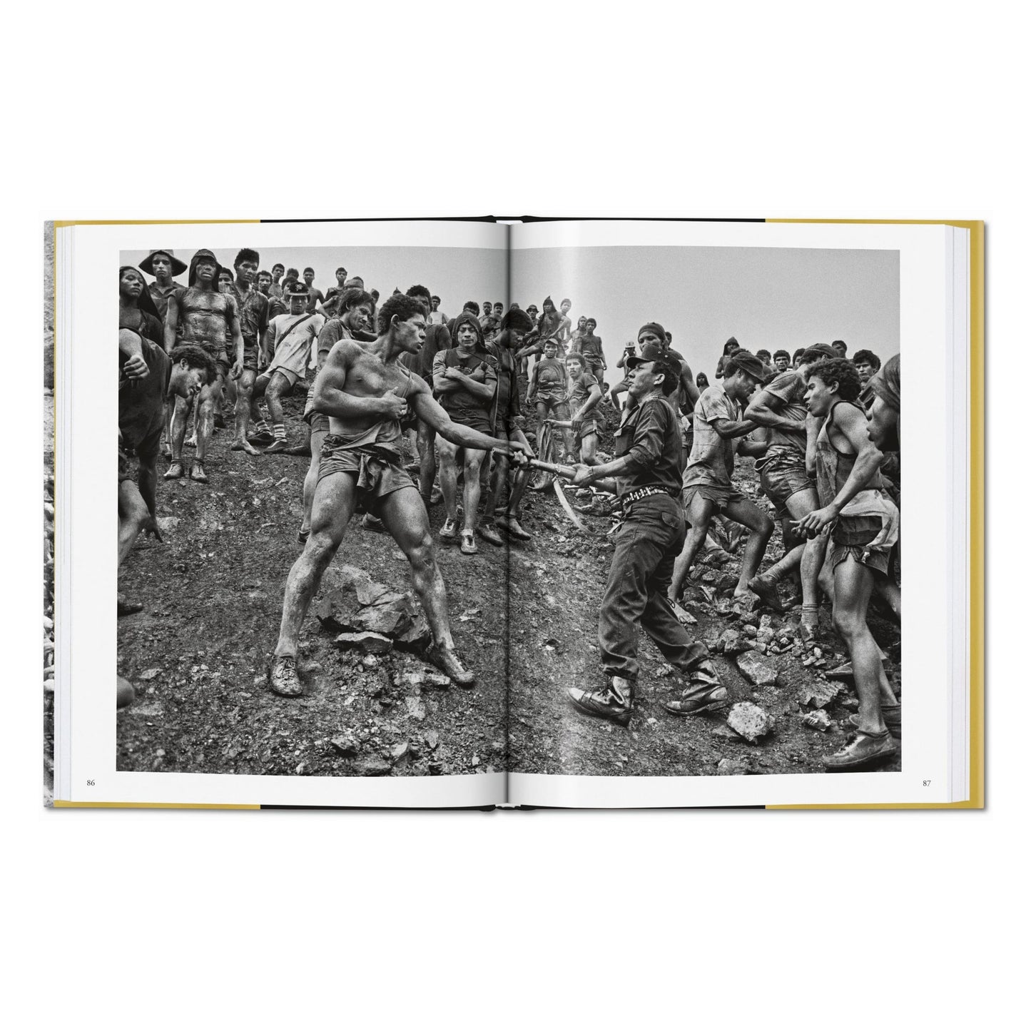 Sebastião Salgado. Gold (German, French, English) Book
