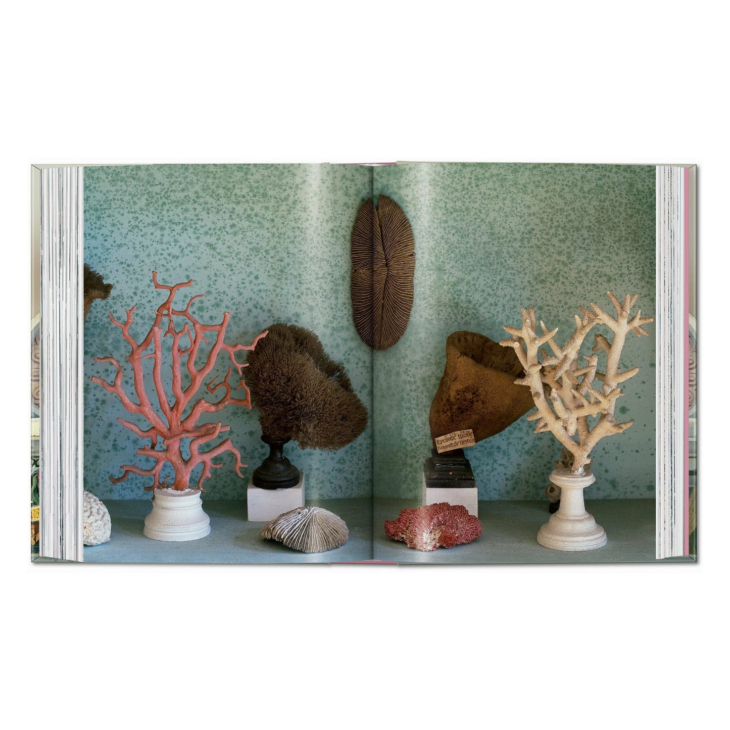 Massimo Listri. Cabinet of Curiosities. 45th Ed. (German, French, English) Book