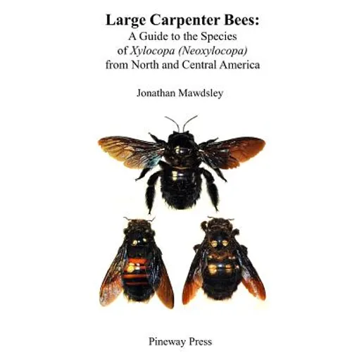 Large Carpenter Bees: A Guide to Species of Xylocopa (Neoxylocopa) from North and Central America