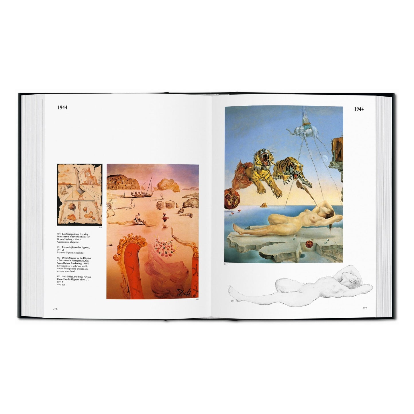 Dalí. The Paintings (English) Book