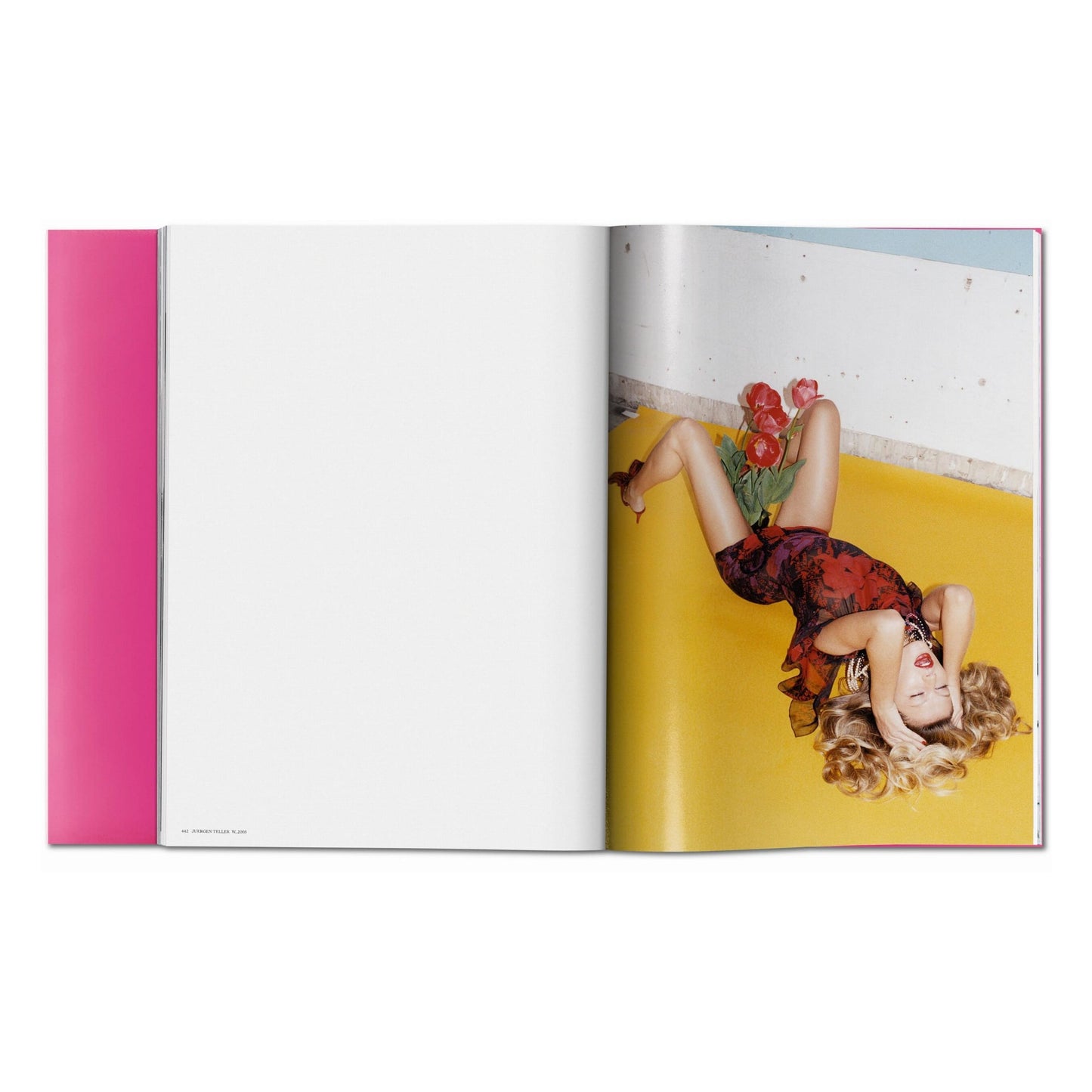 Gisele Bündchen (English) Book