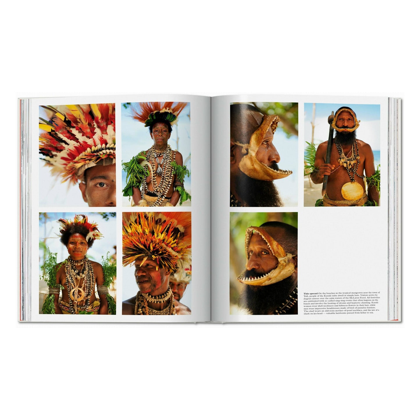 Remote Experiences. Extraordinary Travel Adventures from North to South (English) Book