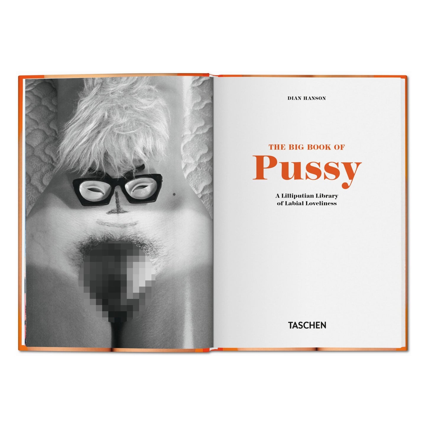 The Little Big Book of Pussy (German, French, English) Book
