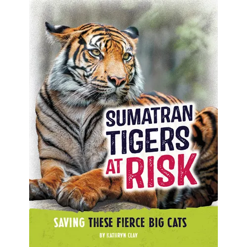 Sumatran Tigers at Risk: Saving These Fierce Big Cats