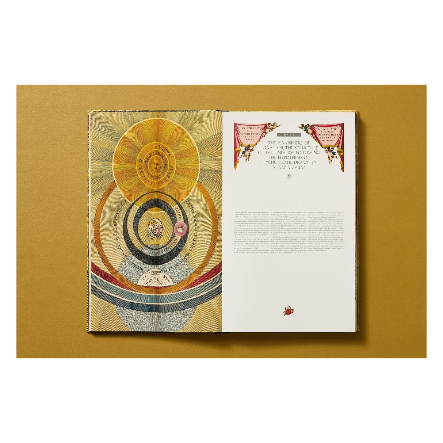 Cellarius Atlas (German, French, English) Book