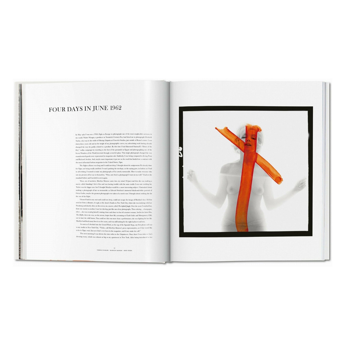 Norman Mailer. Bert Stern. Marilyn Monroe (English) Book