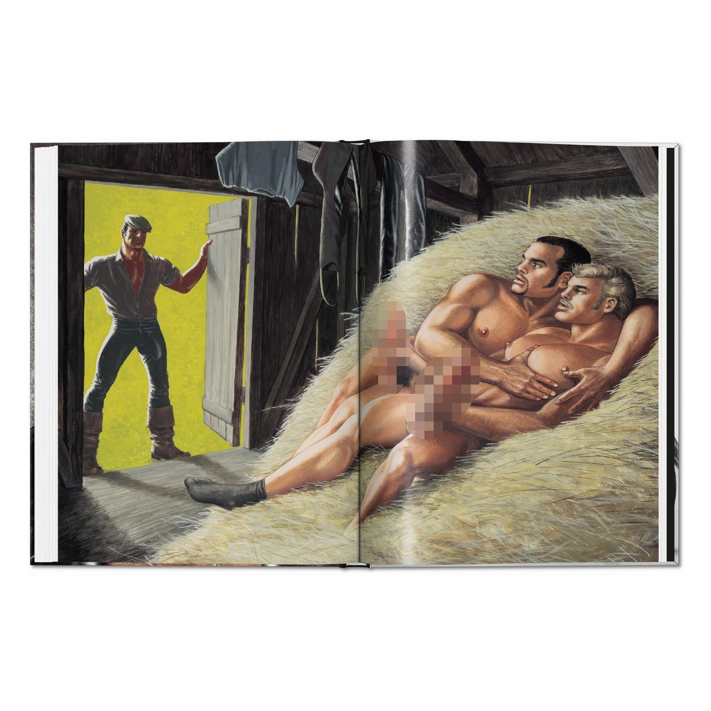 The Little Book of Tom. Bikers (German, French, English) Book