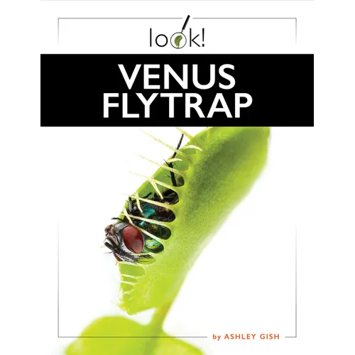 Venus Flytrap