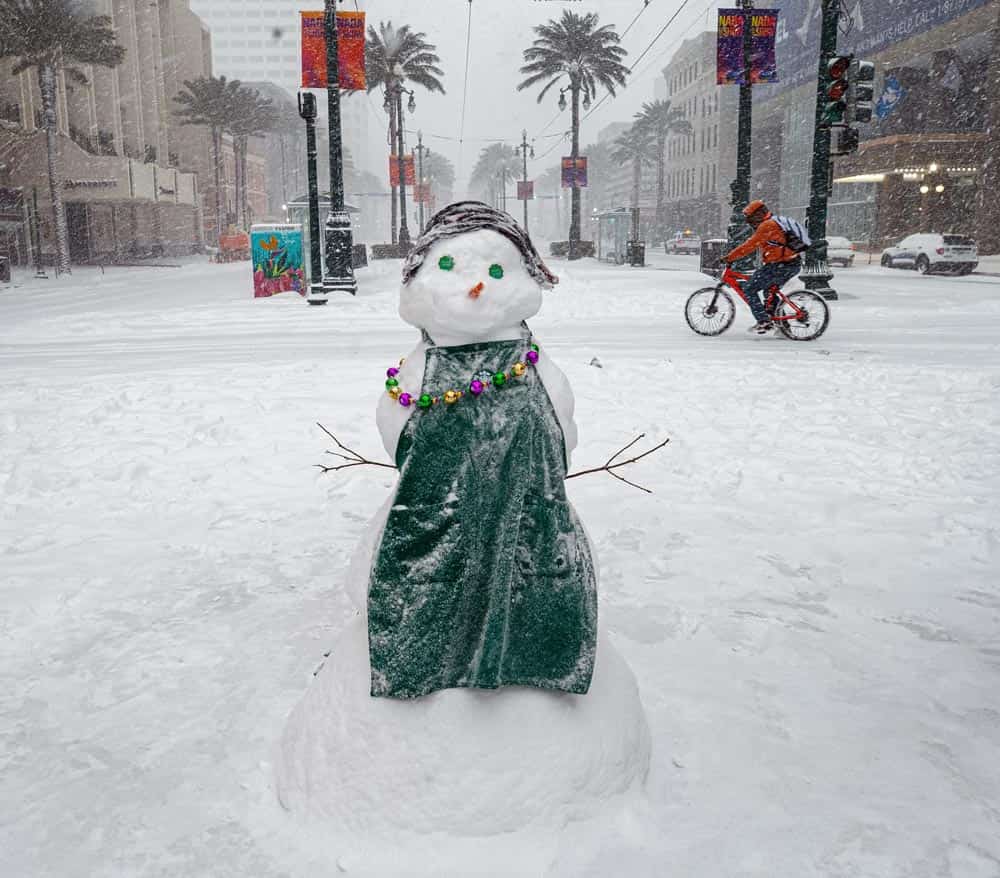 So Much Snow! A Joyous Celebration of the 2025 Louisiana Snowstorm Book