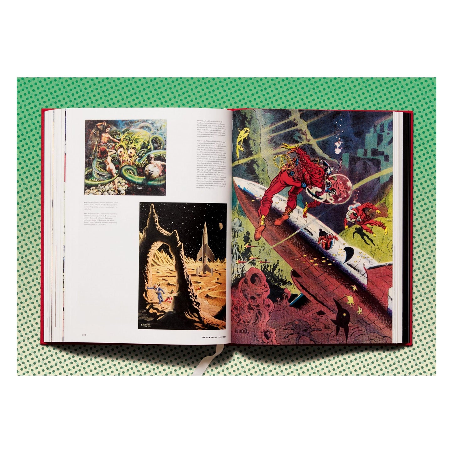 The History of EC Comics (English) Book